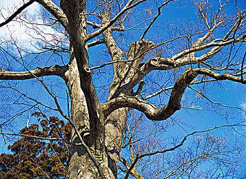 大宇资讯全新力作重磅预告《伊藤润二狂热：无尽的囹圄》惊悚亮相